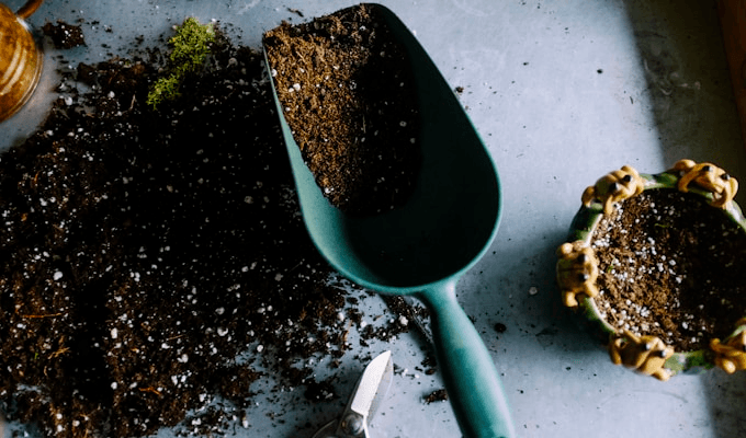 Best String Trimmers 2026: 5 Picks for Spring Lawn Edging and Cleanup